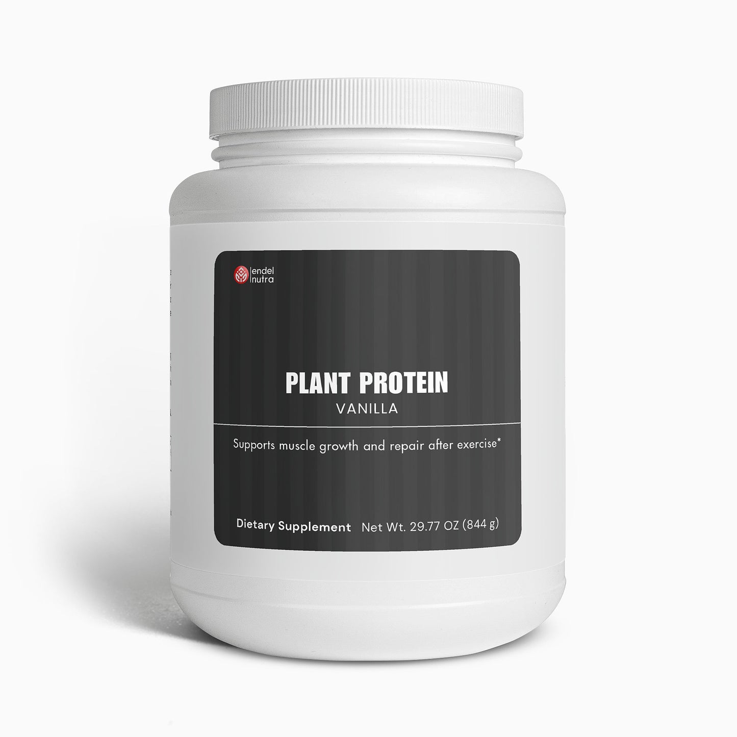 Plant Protein (Vanilla)